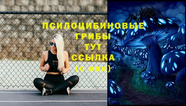 бошки Алексин
