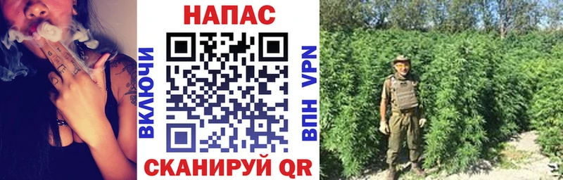 Бошки Шишки семена  Неман 